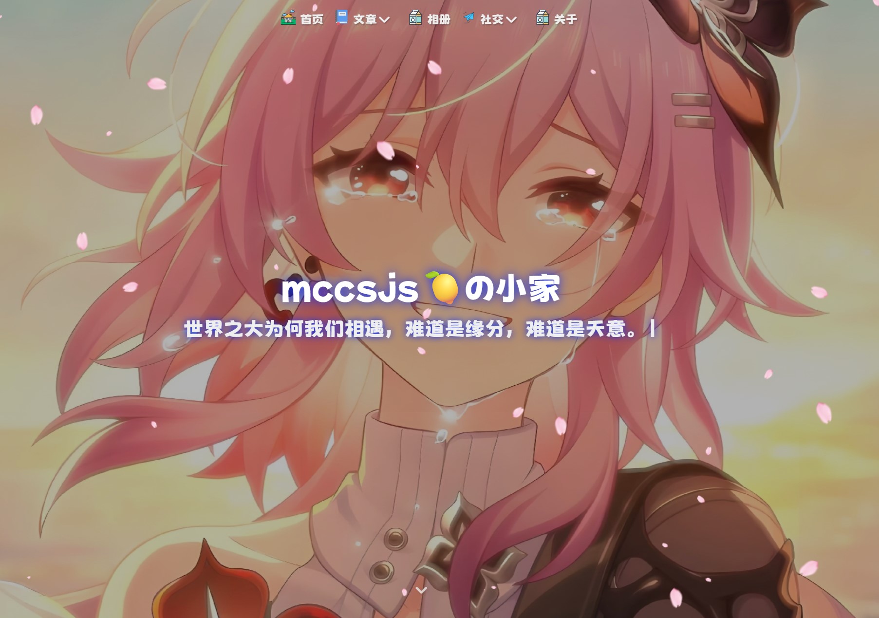 mccsjs